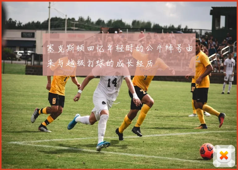 塞克斯顿回忆年轻时的公牛绰号由来与越级打球的成长经历