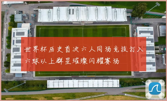 世界杯历史首次六人同场竞技打入六球以上群星璀璨闪耀赛场